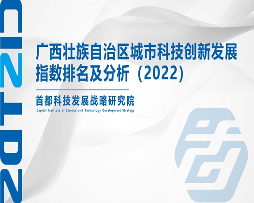 大鸡巴日少妇视频【成果发布】广西壮族自治区城市科技创新发展指数排名及分析（2022）